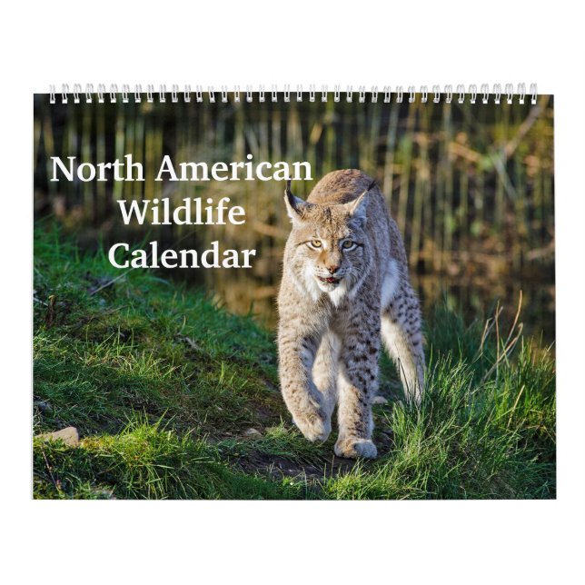 Calendrier La faune nord-américaine (Protection)