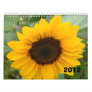 Calendrier La Mlle Molly Photography Calendar