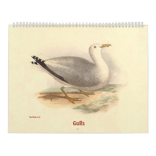Calendrier La mouette lithographie - des oiseaux de New York