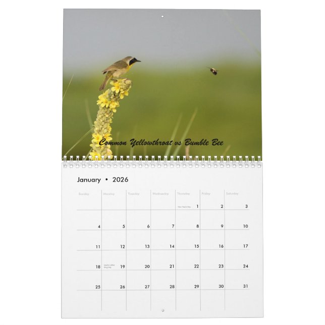 Calendrier La nature a un sens de l'humour (Jan 2026)