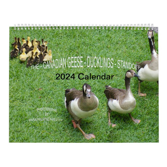 CALENDRIER LA NORME *CANADIENNE DE L'ESSENCE* - *DUCKLINGS* 2 (Protection)