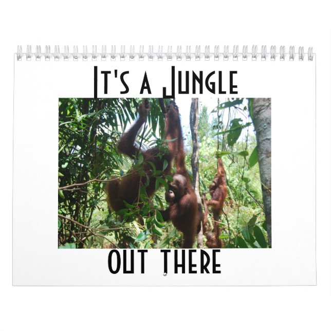 Calendrier La photographie d'Orangutan animal mou (Protection)