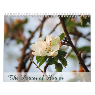 Calendrier La puissance de la fleur