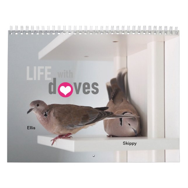 Calendrier La vie avec des colombes :Calendrier 2020 (Protection)