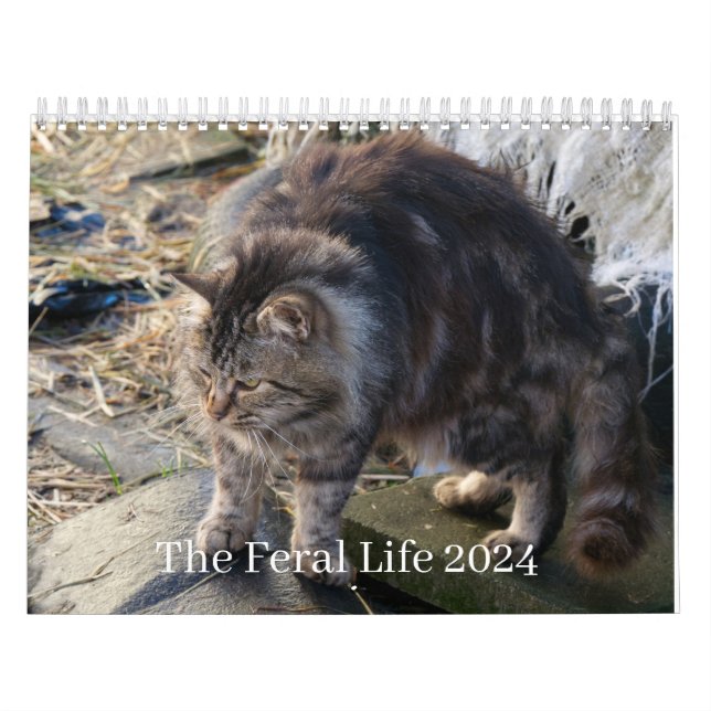 Calendrier La Vie Férale 2024 Beaux Chats Naturels Calenda (Protection)