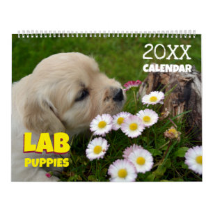 Calendrier Lab Puppies Labrador Retriever Wall 2025 Calendrie