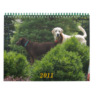 Calendrier Labrador & Golden Calendar