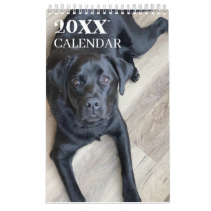Calendrier Labrador Retriever Lab noir