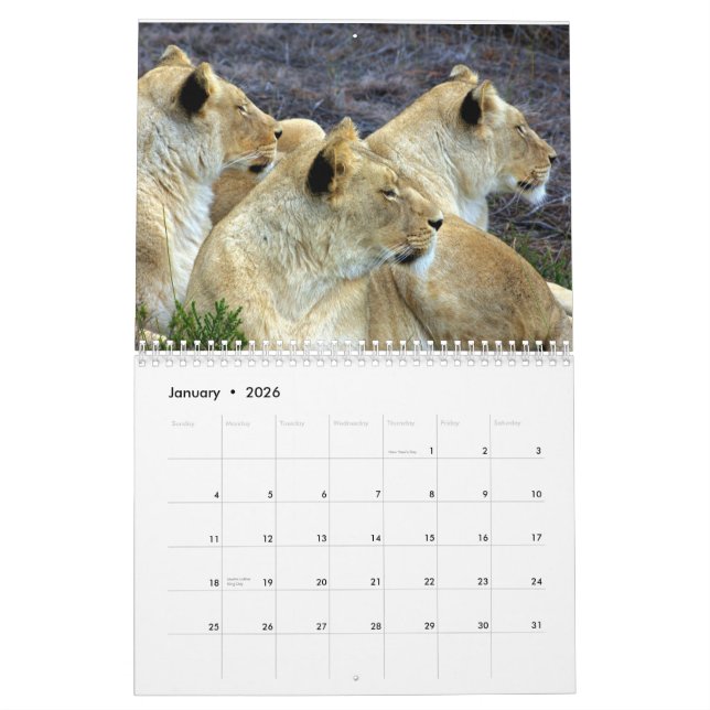 Calendrier L'Afrique du Sud (Jan 2026)