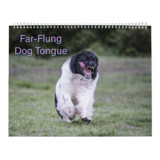 Calendrier Langue de chien lointaine
