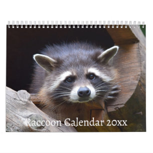Calendrier L'animal de la forêt de Raccoon