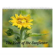 L'année du tournesol