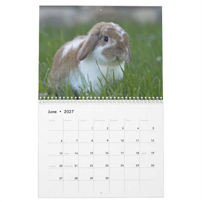 Calendrier Lapins 2016 - 12 mois de lapins mignons (Jun 2027)