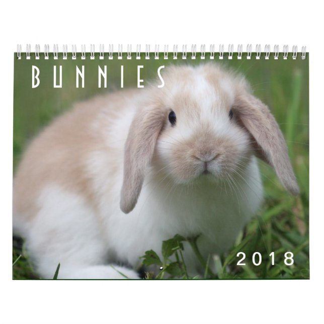 Calendrier Lapins 2018 - 12 mois de lapins mignons (Protection)