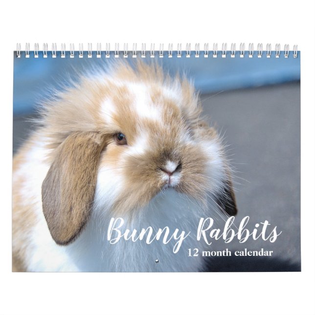 Calendrier Lapins de lapin doux 2026 (Protection)