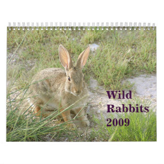 Calendrier Lapins sauvages 2009
