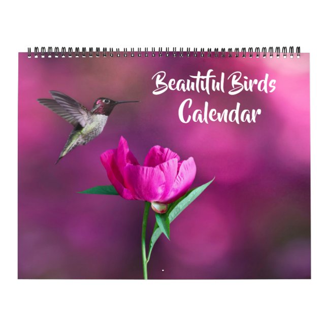 Calendrier Large Size Beautiful Birds Calendar (Protection)