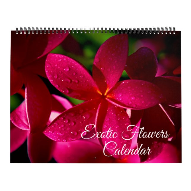 Calendrier Large Size Exotic Flowers Calendar (Protection)