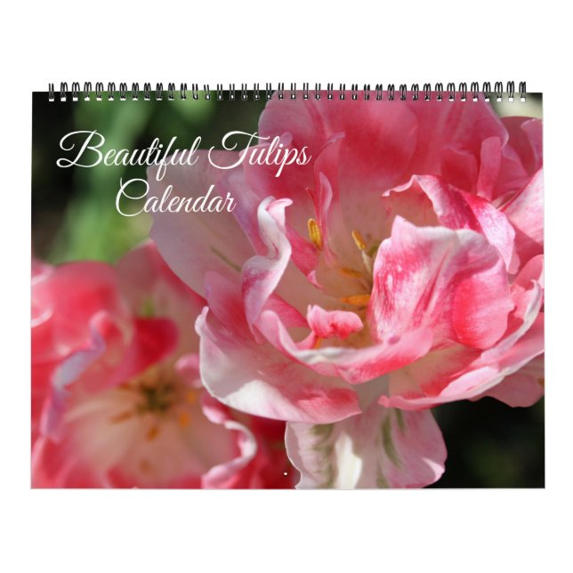 Calendrier Large Size Tulips Calendar (Protection)