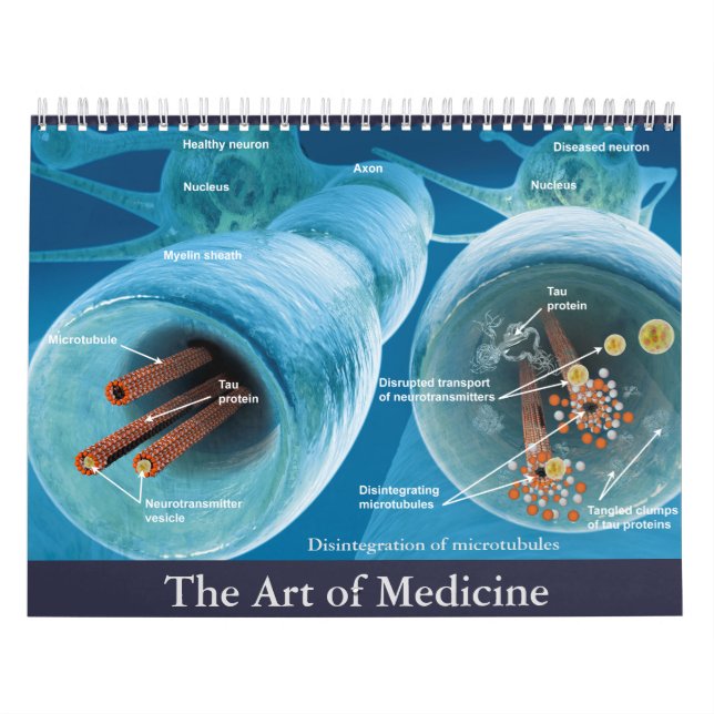 Calendrier L'art de la médecine (Protection)