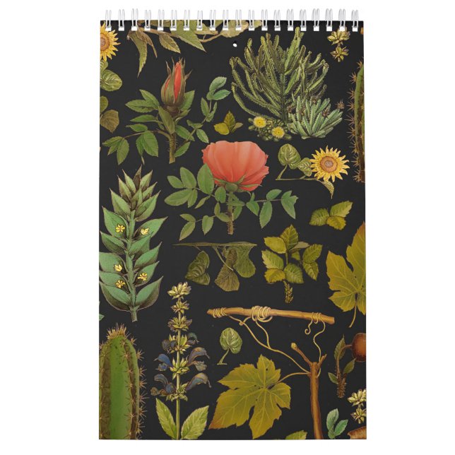 Calendrier Le cactus vert (Protection)