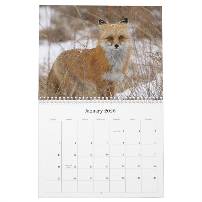 Calendrier Le Colorado (Jan 2026)