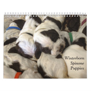 Calendrier Le ~ de Winterborn Spinone a mis à jour le Med. d