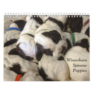 Calendrier Le ~ de Winterborn Spinone a mis à jour le Med. de