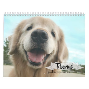 Calendrier Le golden retriever 2019 de Tiberius AugieDoggy
