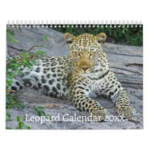 Calendrier Le léopard animal sauvage