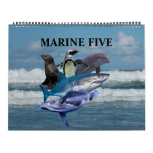 Calendrier Le Marine Five
