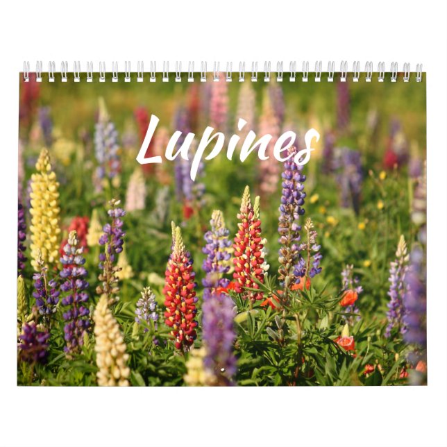Calendrier Le Monde des Lupines (Protection)
