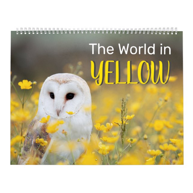 Calendrier Le monde en JAUNE, 2025 Deux pages grand calendrie (Protection)
