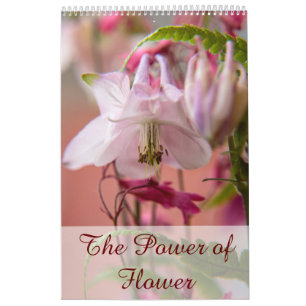 Calendrier Le pouvoir de la fleur