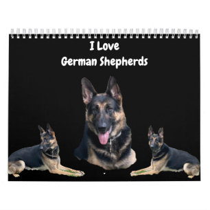 CALENDRIER LE SHEPHERD ALLEMAND