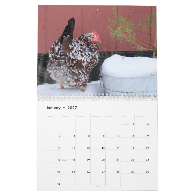 Calendrier : Le troupeau du poussin de poulet (Jan 2027)