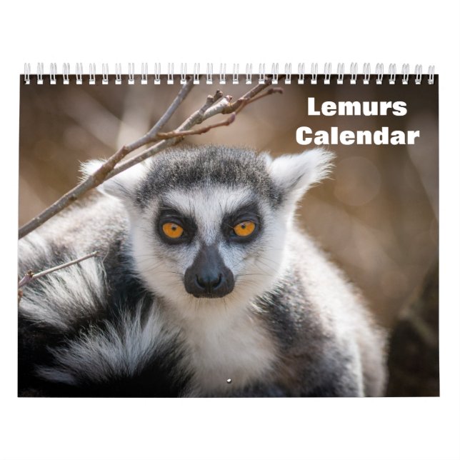 Calendrier Lemurs 2025 (Protection)