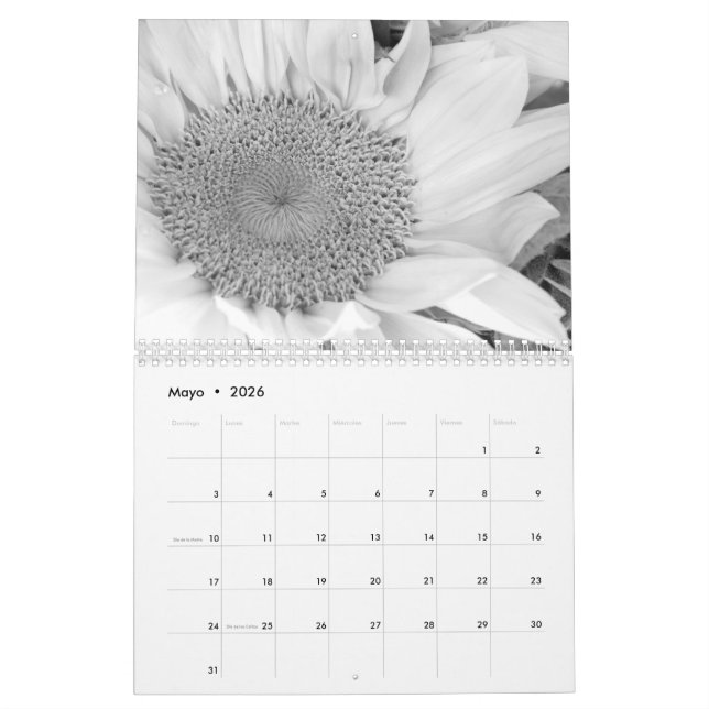 Calendrier L'en de fotografía d'escroquerie de Calendario (Mai 2026)