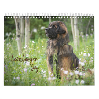 Calendrier Leonberger Joy