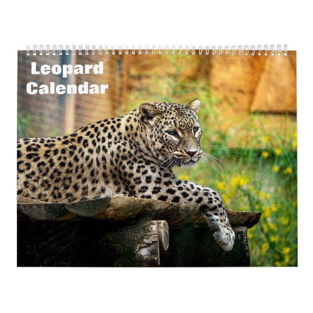 Calendrier Leopard 2025 (Protection)