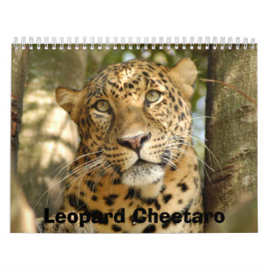 Calendrier LeopardCheetaro013, léopard Cheetaro