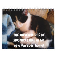 Les Aventures de Skunky Luke