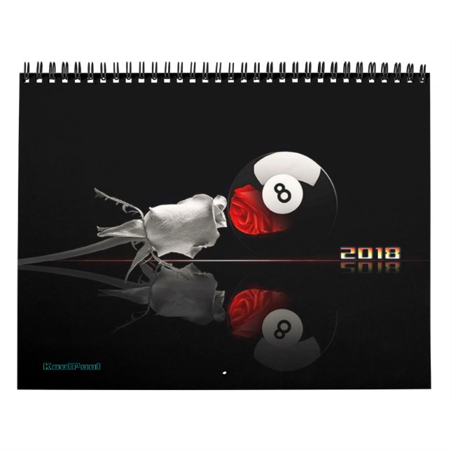 Calendrier Les billards classent 2018 (Protection)