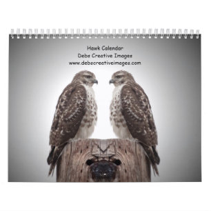 Calendrier Les faucons dans la nature 2025