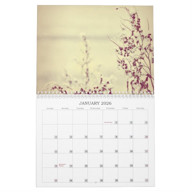 Calendrier Les fleurs classent tout au long de l'année 2013 (Jan 2026)