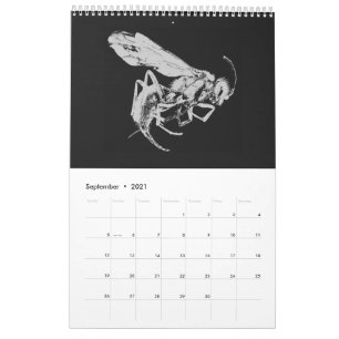 Calendrier Les insectes minimalistes noirs et blancs - Bugs 2