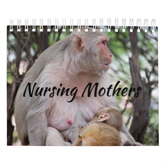 Calendrier Les mères allaitantes Animaux (Protection)