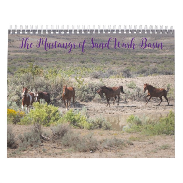Calendrier Les Mustangs du bassin de lavage de sable (Protection)