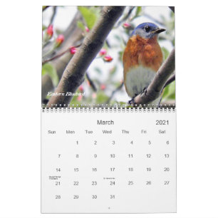 Calendrier Les oiseaux dans votre Jardin photographique