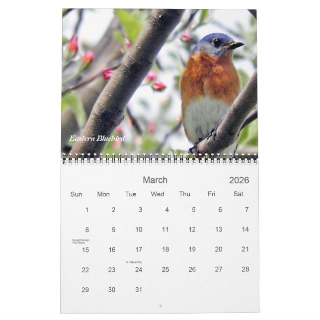 Calendrier Les oiseaux dans votre Jardin photographique (Mar 2026)